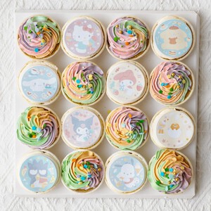 Sanrio Friends Cupcakes | Kids Theme Cupcakes